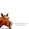 ברכות מצחיקות ליום הולדת