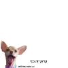 ברכות ליום הולדת לחבר