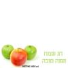 שליחת שנה טובה במייל