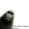 כרטיסי ברכה להדפסה