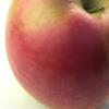 תפוח אדום